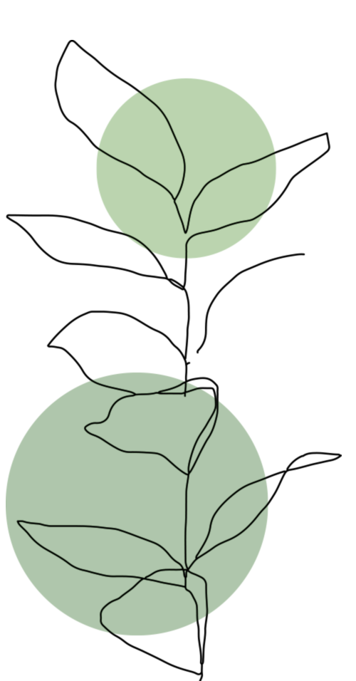 Hand drawn plant
